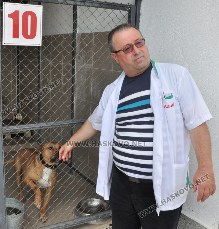 16 кучета са осиновени от приюта в Хасково