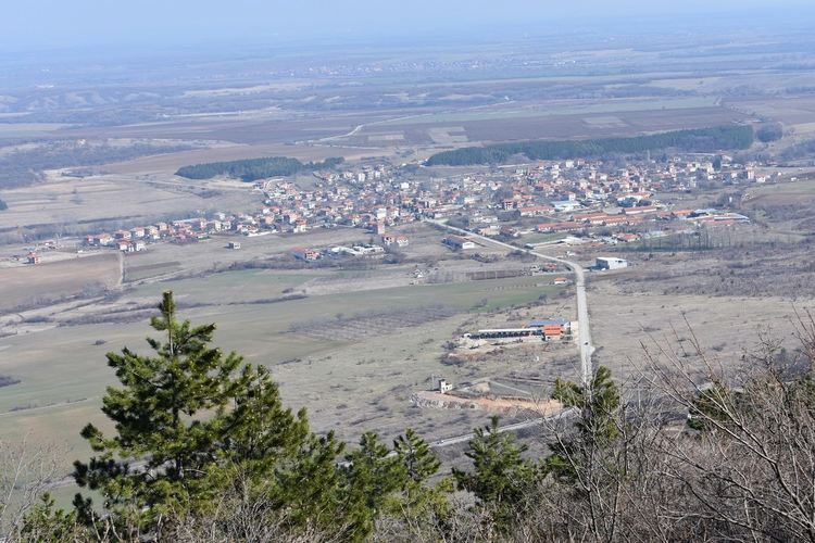 Започват проверки на стопанствата за свине