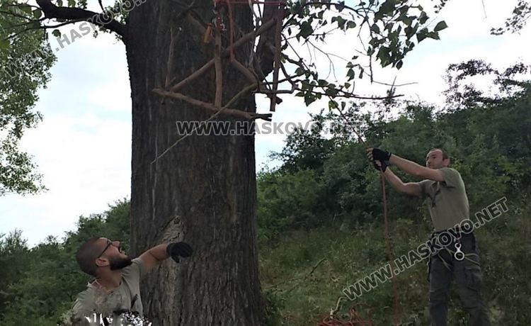 Поставяне на изкуствени гнезда