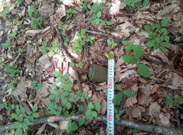 Снимка: Министерство на отбраната