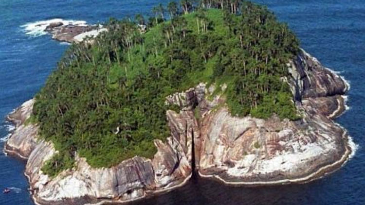 Островът на змиите