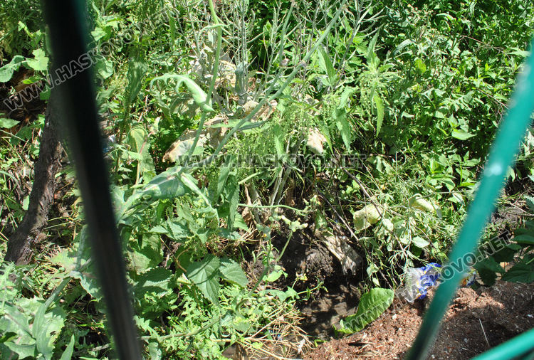 Хасковската улица “Пионер“ се превърна в езеро, наводниха се къщи (видео)