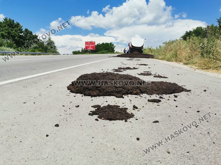 Камион разсипа птича тор на пътя край Хасково