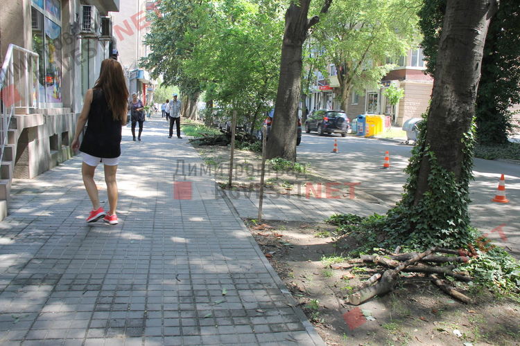 Опасния тротоар на улица "Ромен Ролан"