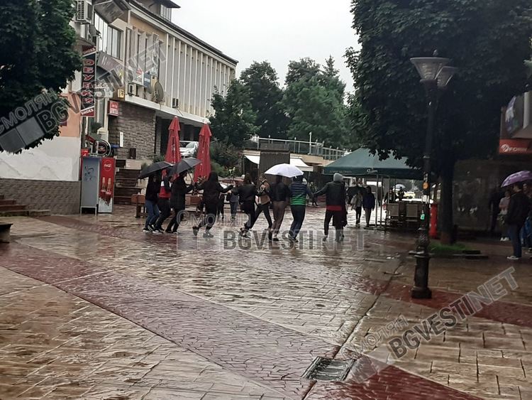 Серенада под дъжда, 12-класници от Смолян играха хоро с чадъри под прозореца на учителката си