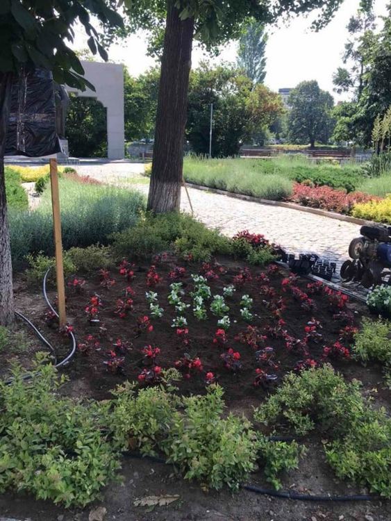 Посадиха цветя и дървета в Асеновград