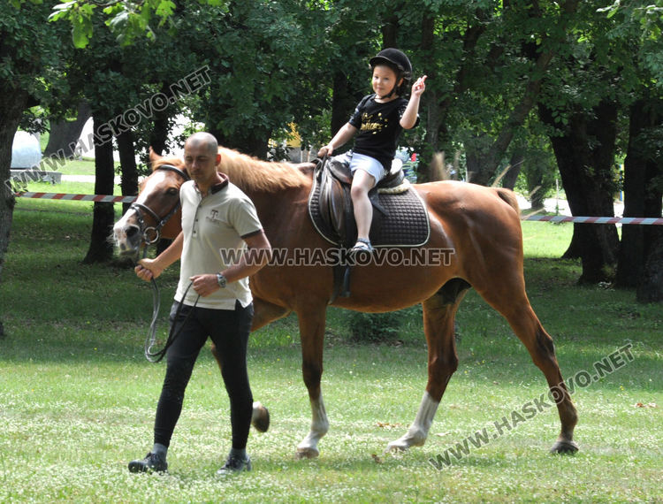 Понито Арчи и жребецът Аполон на разходка с хасковските деца