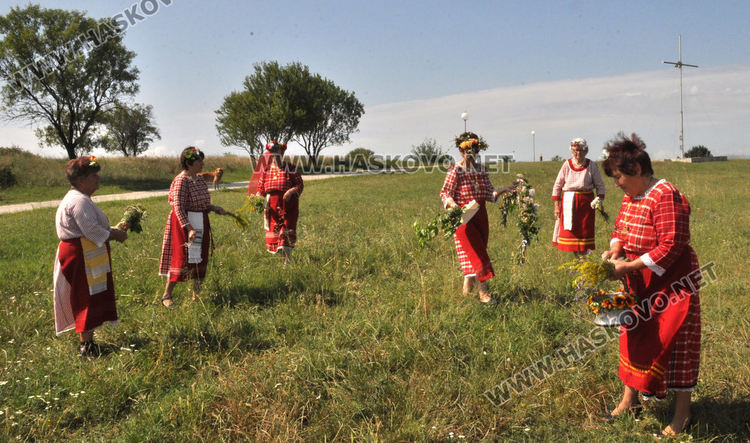 Всяка тревичка е полезна, всяка разходка е здраве, казват в с. Крум