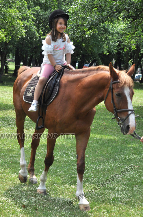 Понито Арчи и жребецът Аполон на разходка с хасковските деца