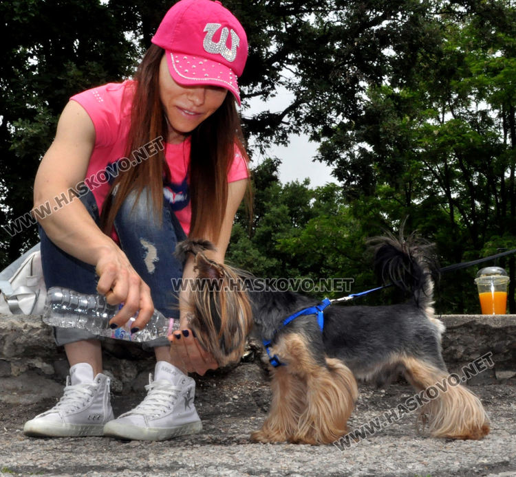 Предимно слънчево и топло в сряда