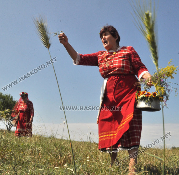 Всяка тревичка е полезна, всяка разходка е здраве, казват в с. Крум