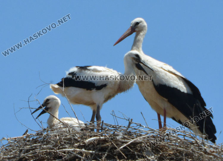 Рибари се отдадоха на любимото хоби в Световния ден на риболова  