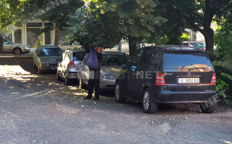 Започна полулегалното бране на липов цвят в Кърджали, ще има ли забрана за чупенето на клони?