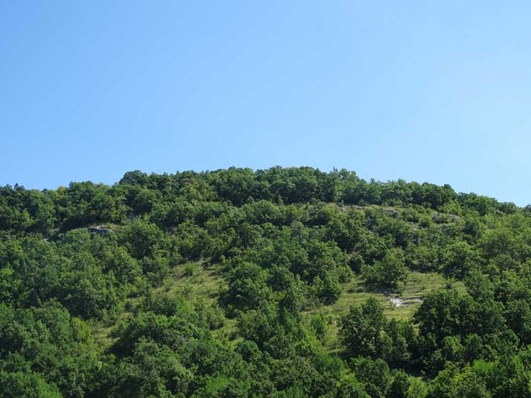 Историята на село Кралево, кръстено на защитника на българите Кралю войвода