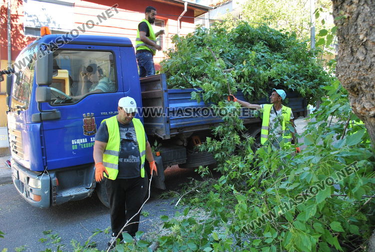Поетапно затварят и отварят ул. „Г. Кирков„ днес заради санитарна сеч