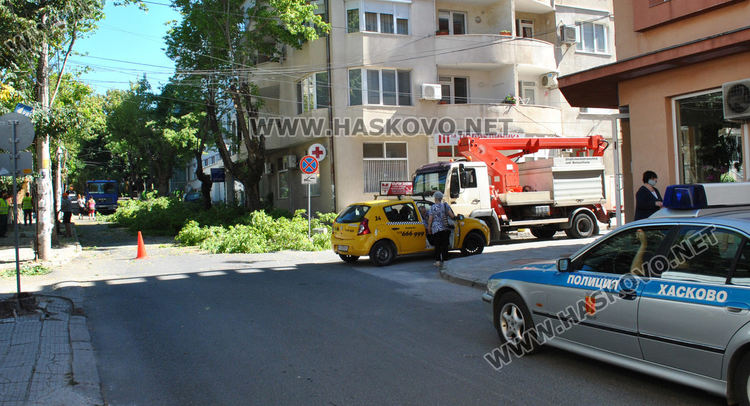 Поетапно затварят и отварят ул. „Г. Кирков„ днес заради санитарна сеч