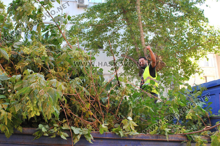 Поетапно затварят и отварят ул. „Г. Кирков„ днес заради санитарна сеч