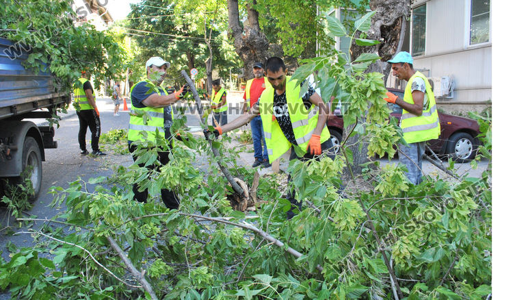 Поетапно затварят и отварят ул. „Г. Кирков„ днес заради санитарна сеч