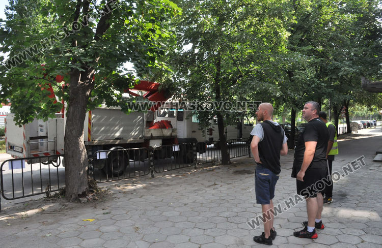 Премахнаха опасното дърво по бул.„България“