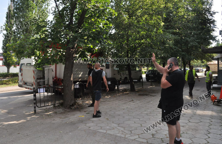 Премахнаха опасното дърво по бул.„България“