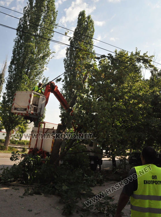 Премахнаха опасното дърво по бул.„България“