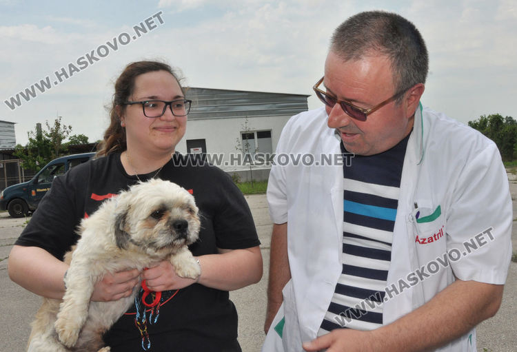 636 домашни кучета са регистрирани в Хасково, започват проверки