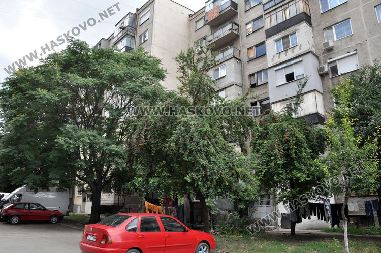 Съседи на убитата: Разлагащият се труп бил изхвърлен до контейнерите