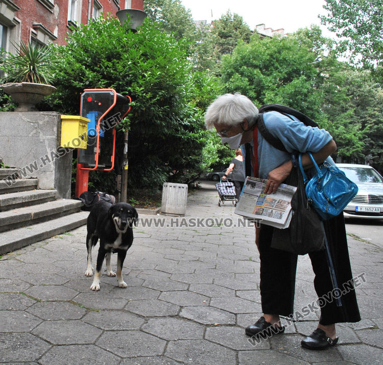 Хасковлия предлага всички пенсии да се уеднаквят на 500 лева