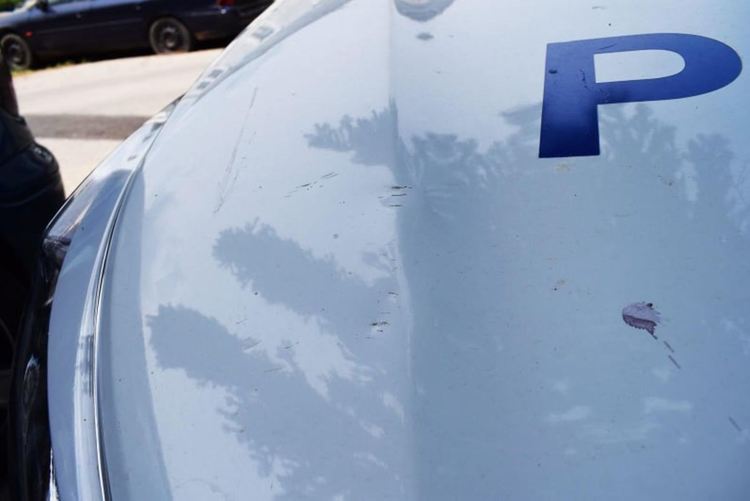 Арестуваха 25-годишен и две жени, задигнали 35 000 лева, злато и кола