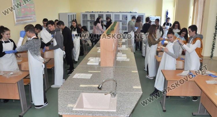 15 хасковски училища са в списъка на иновативните на министъра на образованието