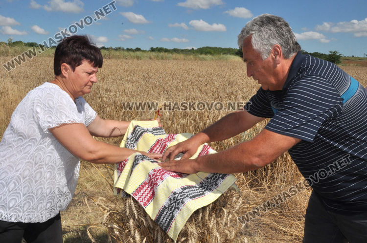 Възстановка на ритуала „зажънване“ в Черноконево, жалват се от добив и цена (видео)