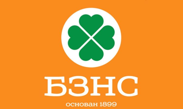 БЗНС:  Радев и БСП използват обществената енергия на десните хора