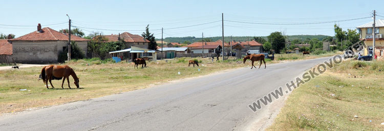 „Легнали полицаи“ на сянка трошат коли в Узунджово