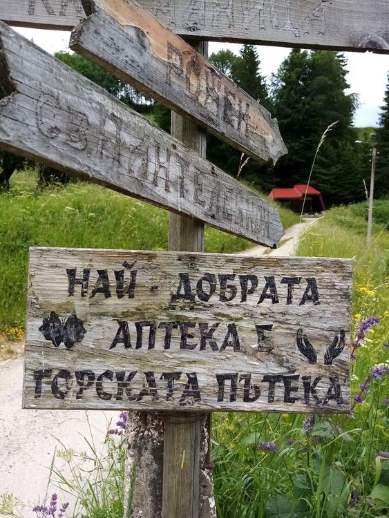 Нови указателни табели насочват туристите по атрактивни маршрути около Проглед