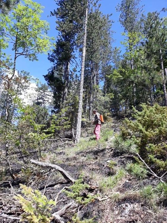 Пожарникар доброволец се притича на помощ за овладяване на горски пожар, Община Чепеларе му благодари
