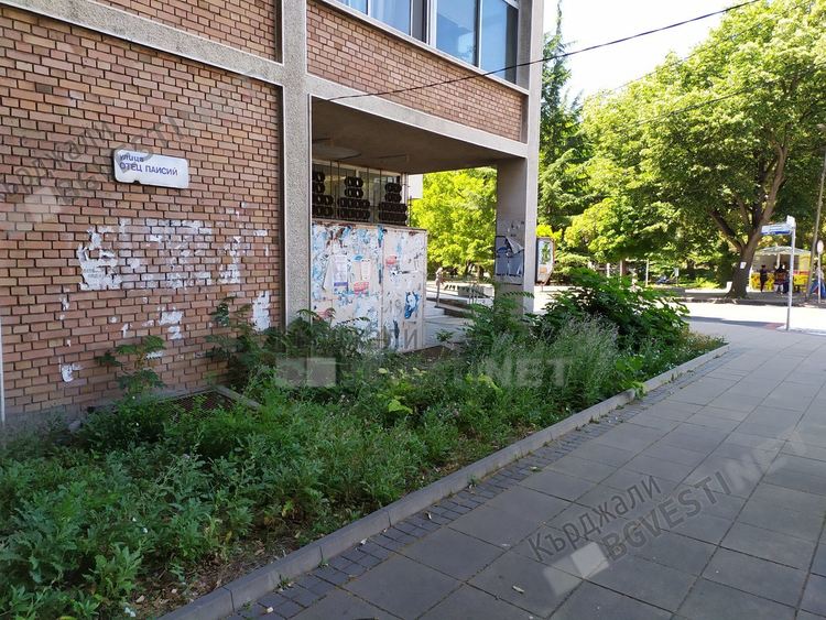 Пущинак в центъра на Кърджали- тоалетна за бездомните кучета