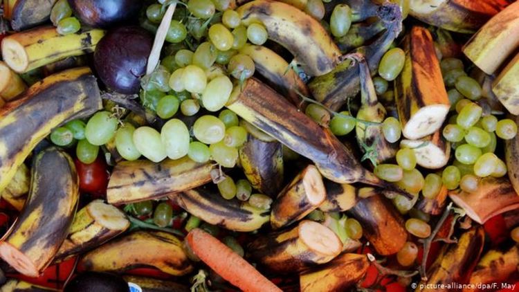 Здравословното хранене може да предотврати бъдещи пандемии