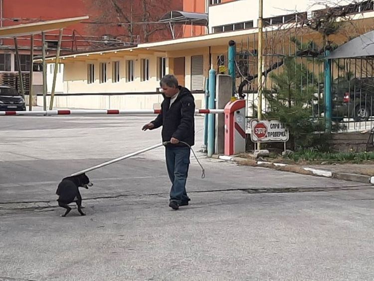 Планира се създаването на площадки за домашни любимци в Асеновград
