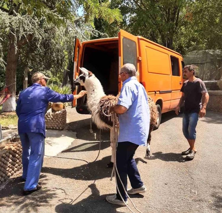 Зоопаркът в Кенана с нови попълнения от Айтос