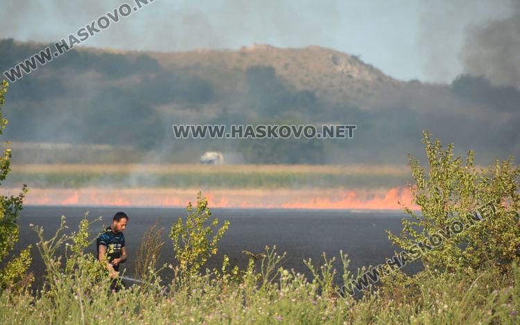 Пламна ожънат житен блок на метри от маркет между Хасково и Димитровград