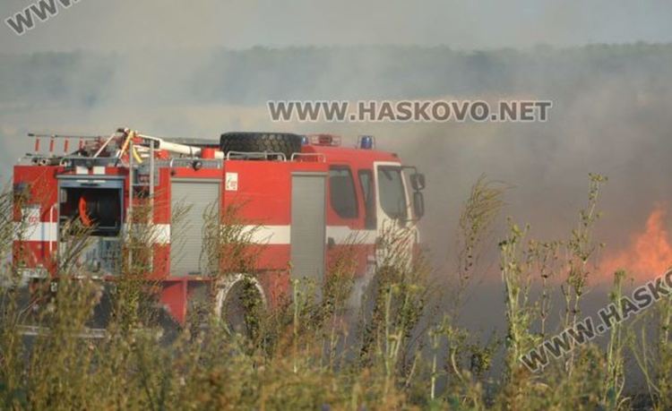 Искрата, подпалила тополовградската гора тръгнала от трактор