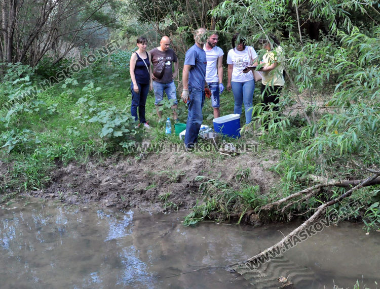 Областният кризисен щаб за действие при бедствия заседава заради умрели крави в Марица