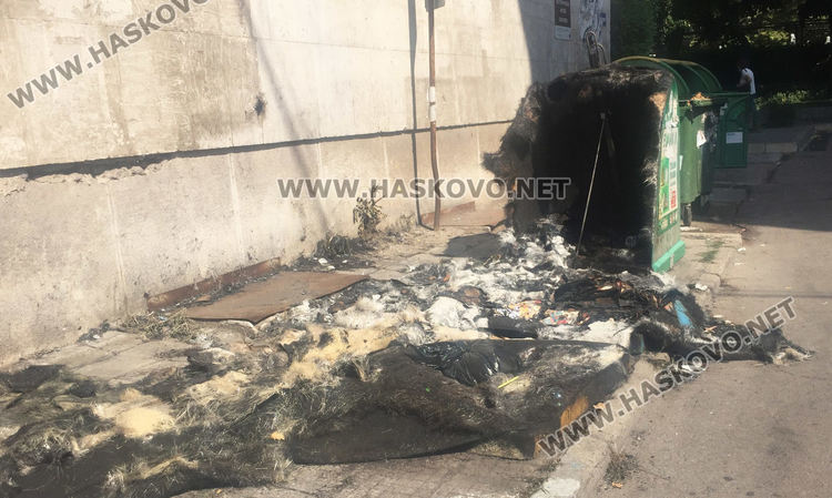 14-годишни подпалвачи драснали клечката на кошовете в центъра