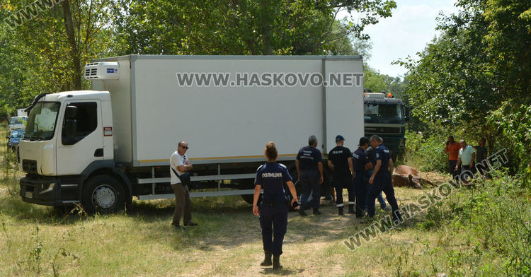 Знае се кое е веществото, отровило кравите в р. Марица