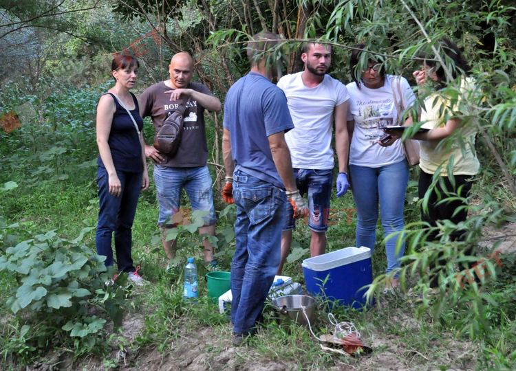 Стадо отровени крави край река Марица в Димитровград, спряна е водата на населените места по поречието й - ВИДЕО