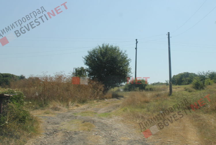 пътят, водещ към гората на Голно Белево