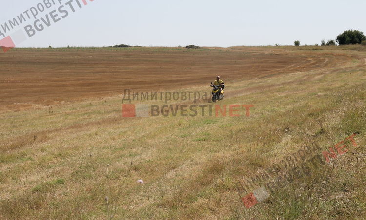 Защо разходка в гората край Долно Белево може да ви коства стотици левове или влизане в болница