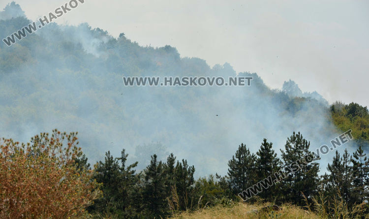 Пожар на фронт от над 300 дка гори между Константиново и Поляново