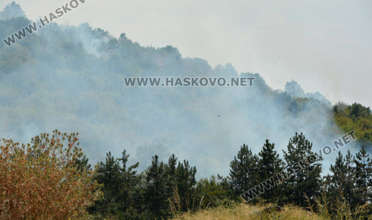 Пожарът в Симеоновградско локализиран, 1000 дка гора в пламъци