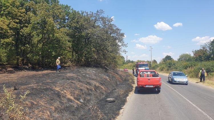 Снимки: РосенТодоров